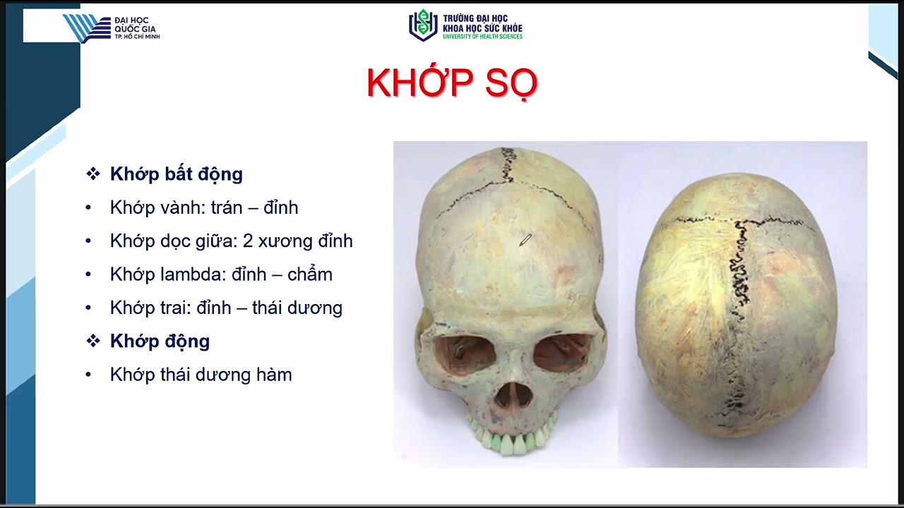 &Ocirc;n CKI GP xương UHS