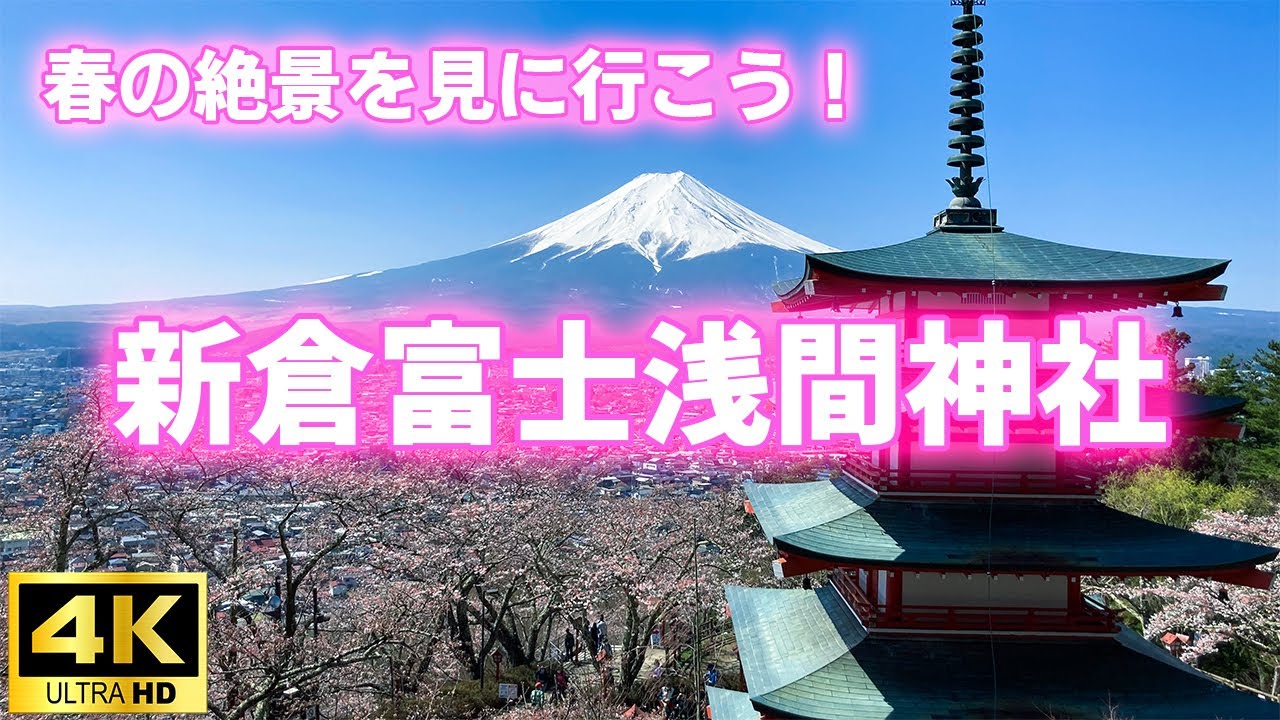 【4K】新倉富士浅間神社／一度は見たことがあるあの景色 日本らしい春の風景を見に行こう！