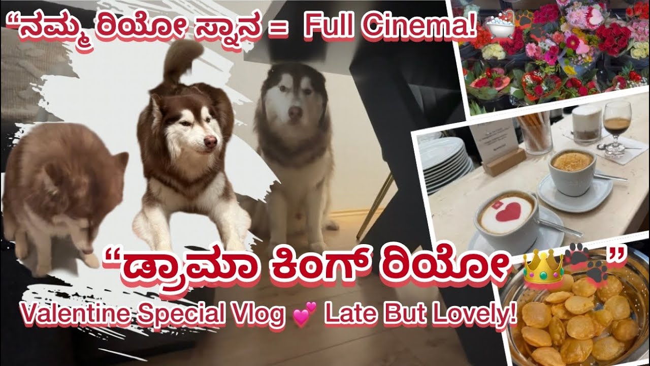“ರಿಯೋಗೆ ಸ್ನಾನ ಅಂದ್ರೆ ದೊಡ್ಡ ಡ್ರಾಮಾ!” 😂 Coffee Date ☕ + Night Pani Puri Party 🇩🇪♾️🇮🇳
