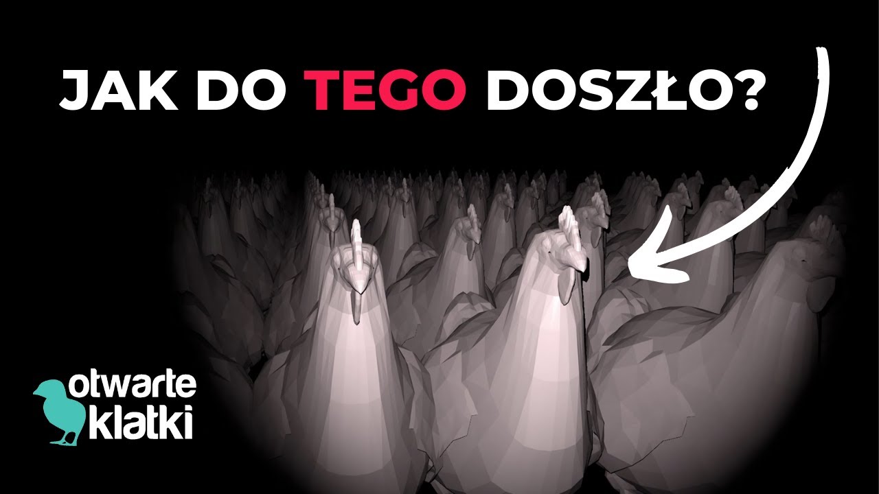 Skąd wzięła się hodowla przemysłowa ❓ Wyjaśniamy