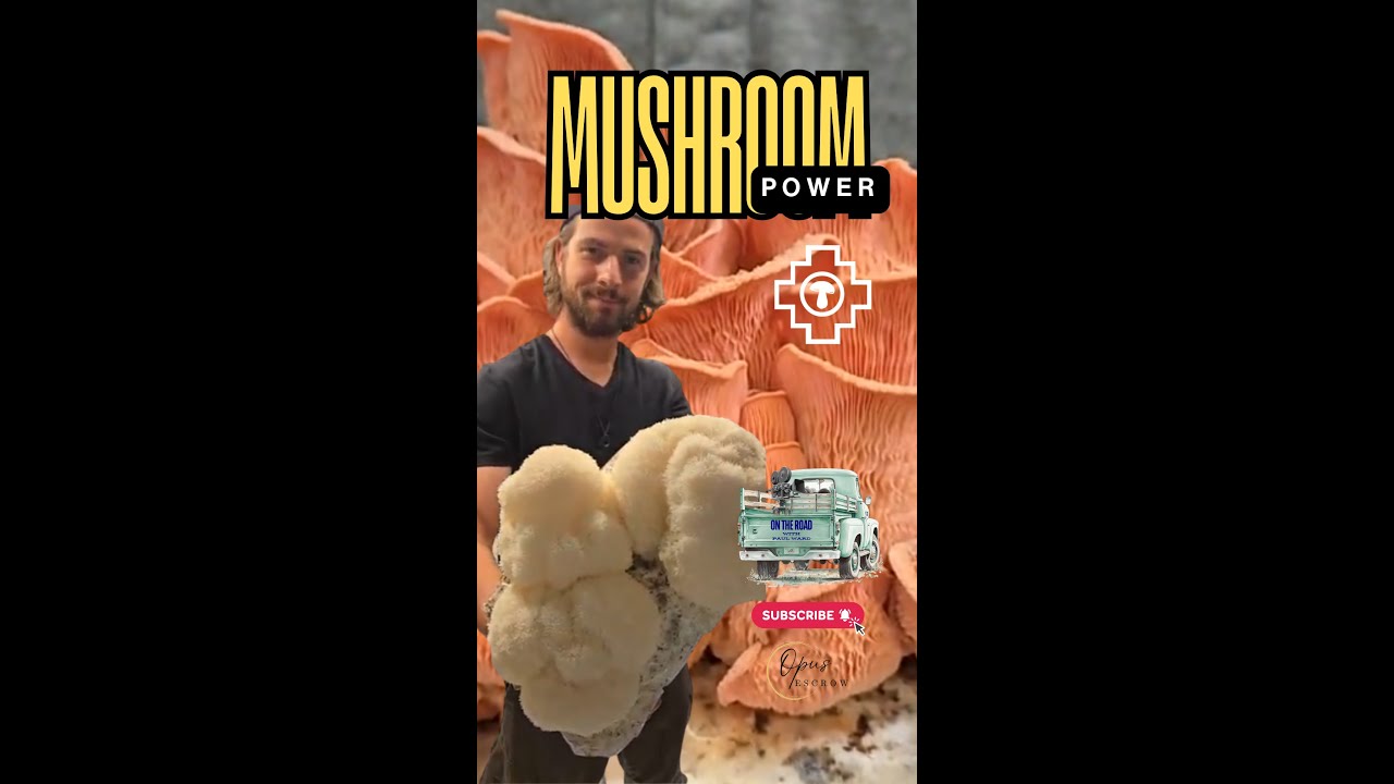 We Turned a Hobby Mushroom Tent into a Real Farm