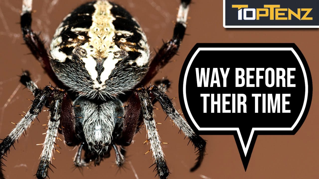10 Scientific Ideas Proposed Ages Before They Were Proven