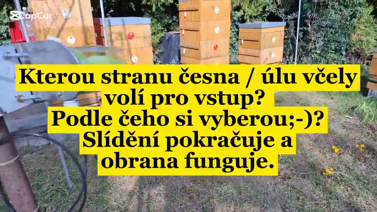Včely 9.3.26 Písecko - vlevo/vpravo do úlu? slídění pokračuje, obrana funguje, napaječky, stojany