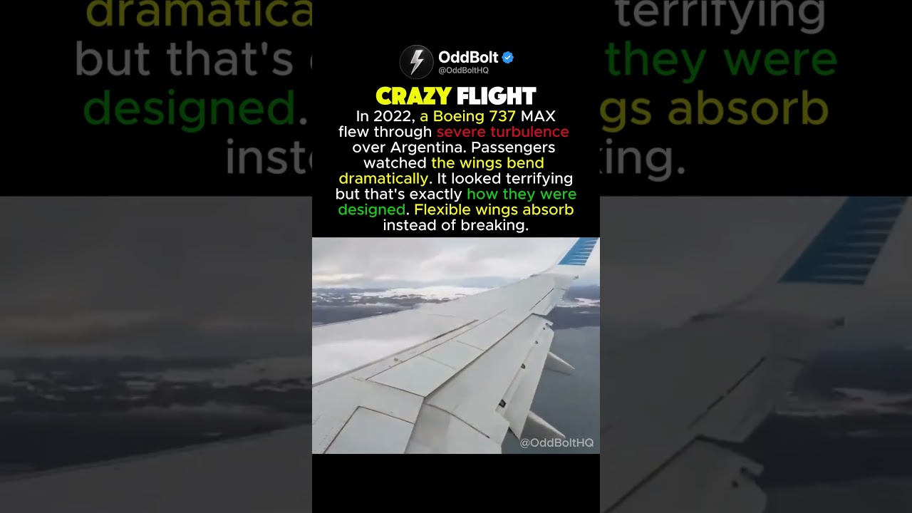 Why Boeing 737 Wings Bend During Turbulence #shorts