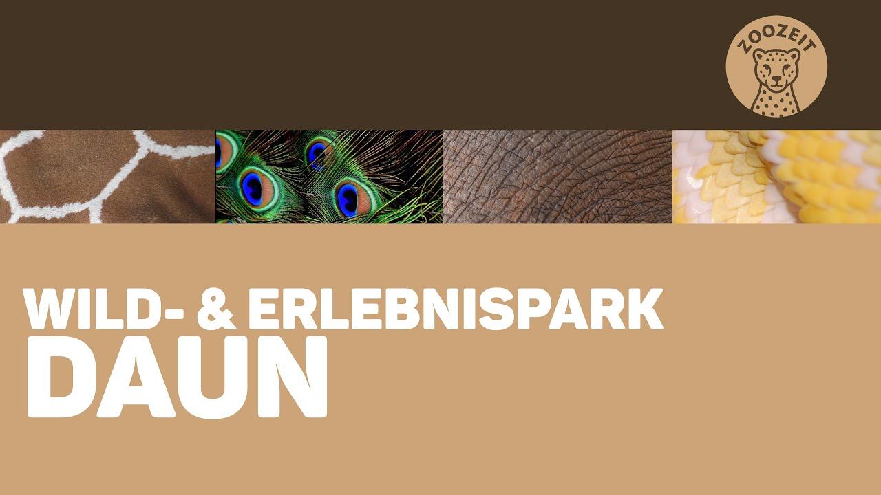 WILD- UND ERLEBNISPARK DAUN &bull; Rundgang und Rundfahrt inklusive aller Highlights!