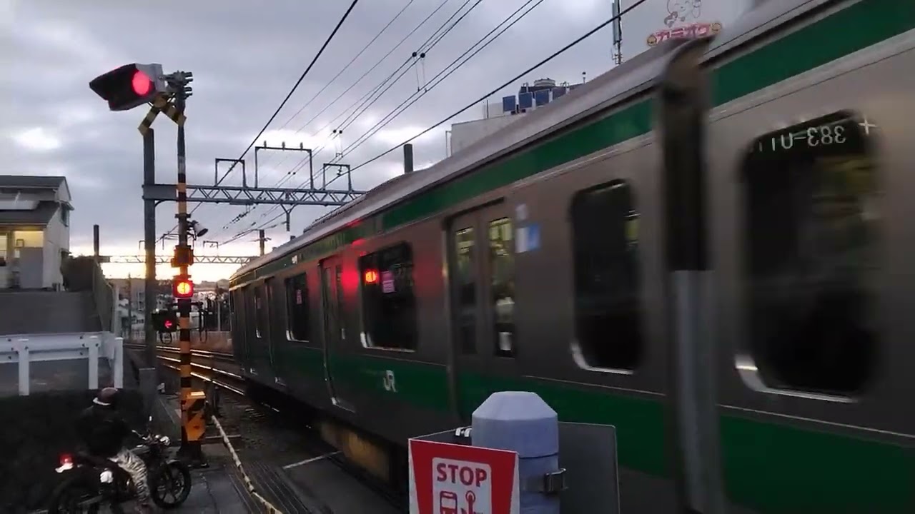 埼京線E233系7000番台ハエ131編成快速海老名行