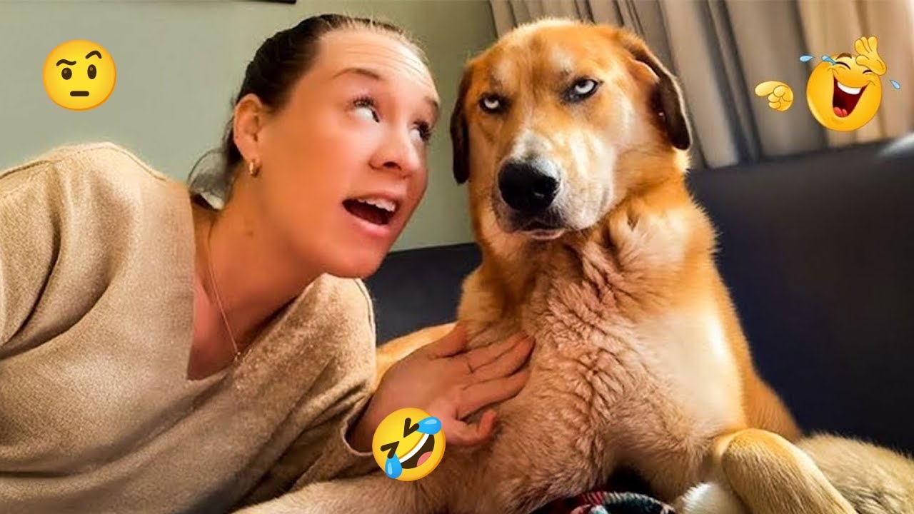 Funniest Dog Videos of the Year 😂🐕 You’ll Laugh Non-Stop | Funny Pets Daily #12
