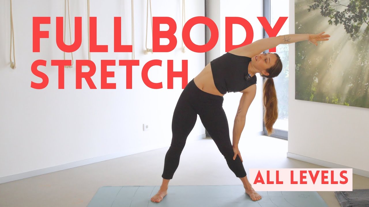 25-Min Full Body Stretch for Beginners | No Wrist, Slow & Low Impact Routine