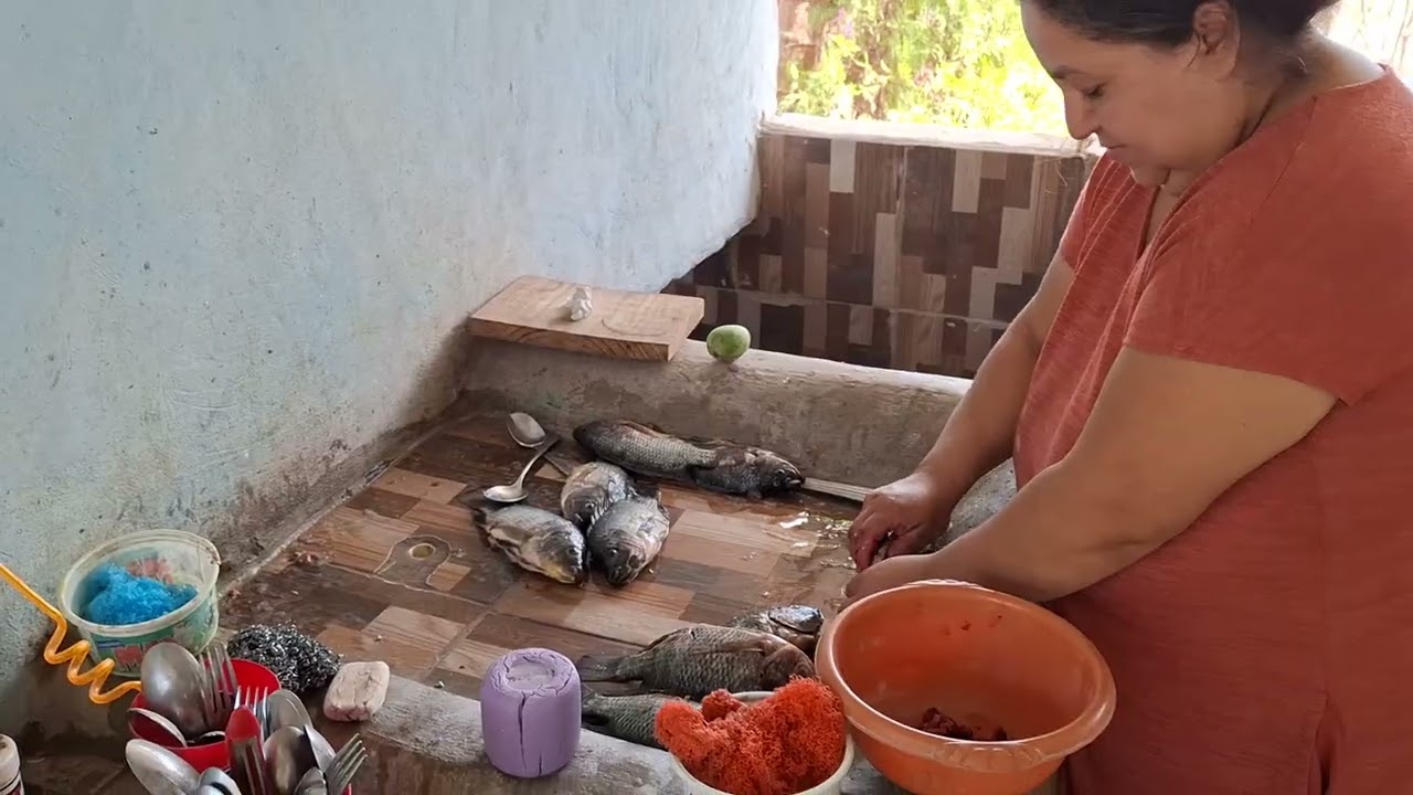 Grasias a un suscriptor por esa bendición 