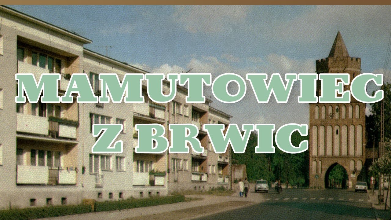 🌳🍀 Mamutowiec Olbrzymi, kt&oacute;ry przynosił szczęście
