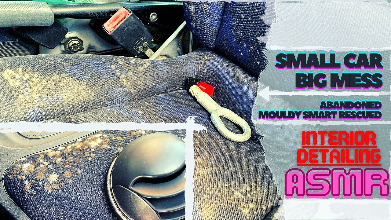 How I Cleaned Mold In a Disgusting Abandoned Smart - Interior Car Cleaning Disaster Detail | ASMR