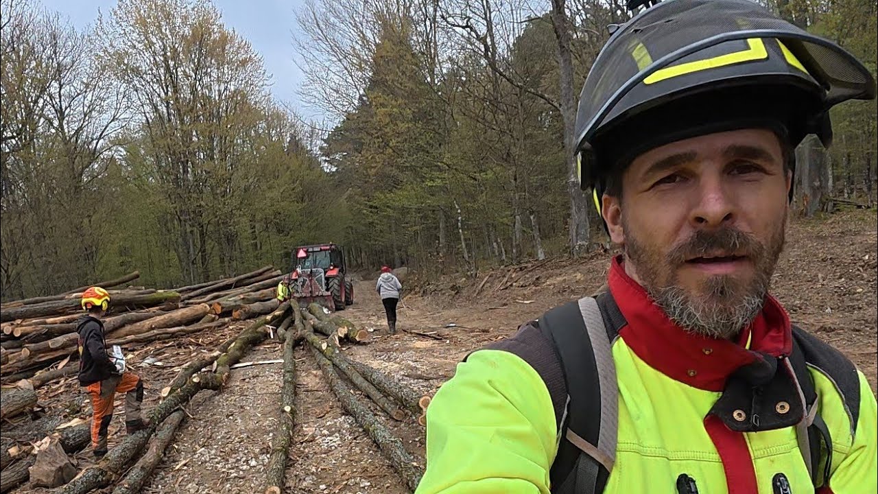 Лесозаготовка и подъезд в дождливую погоду, Stihl ms 400.1 C-M, Amles, Zetor, Лесные работы