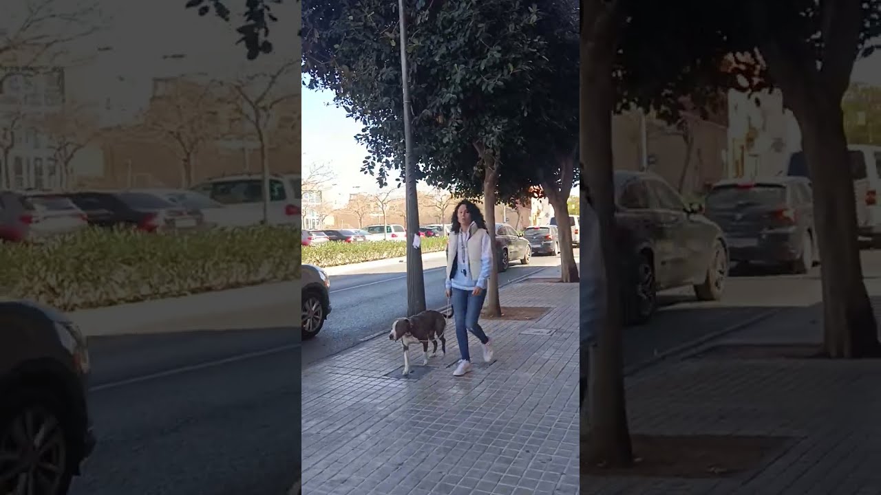 TORRENTE, Valencia, españa