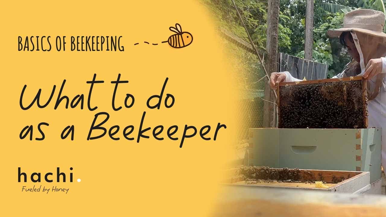 Beekeeping in the Philippines - What to do as a Beekeeper