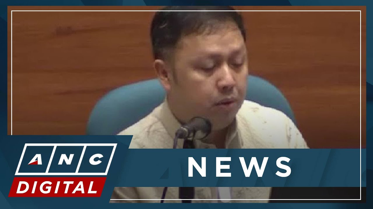 Tiu Laurel on Zaldy Co's fish import permit: Wala akong pinapaboran, hindi ko sila pinagbigyan | ANC