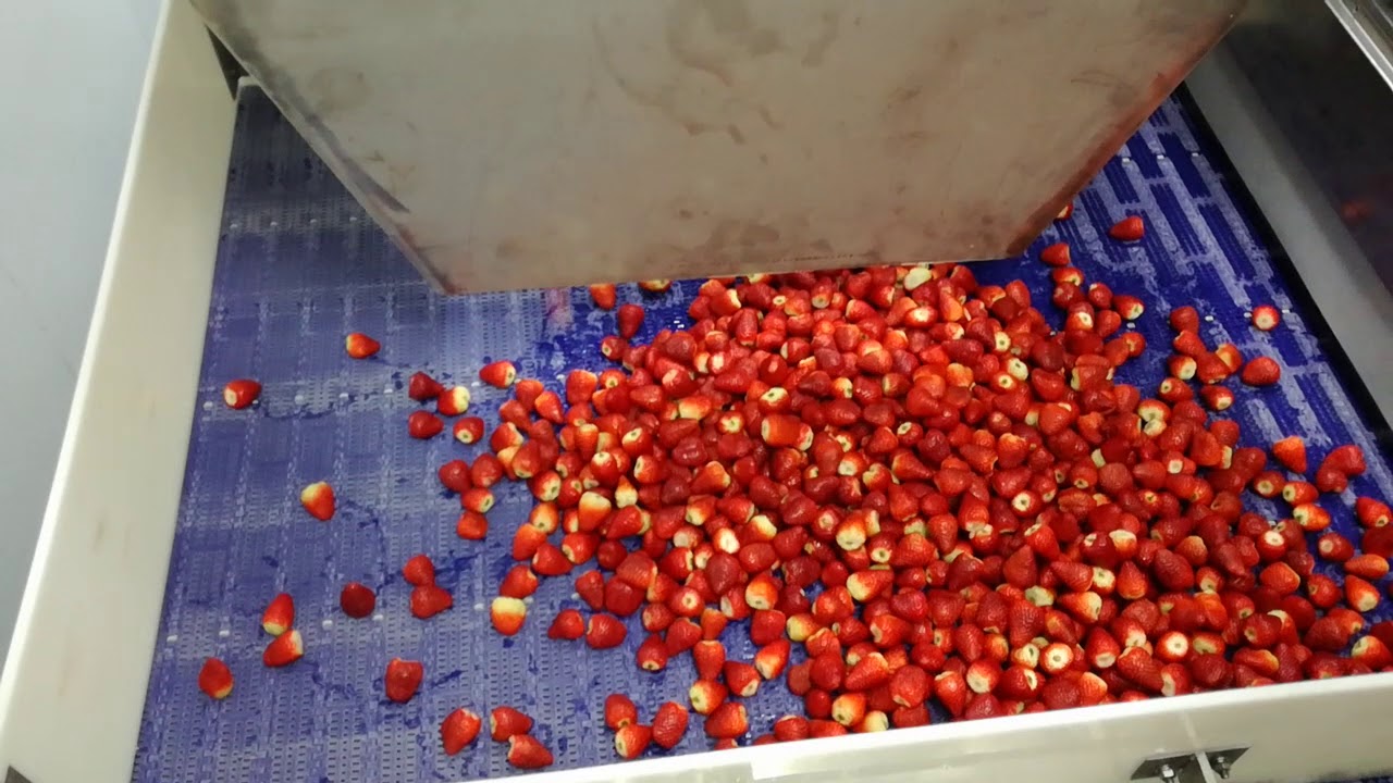 Congelamiento de fresas en túnel IQF (TACNA- PERÚ) Puesta en Marcha