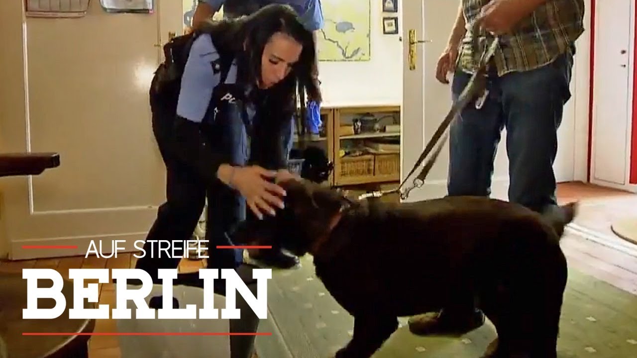 Hund rettet Leben: Was ist mit der Tante passiert? | Auf Streife - Berlin | SAT.1 TV