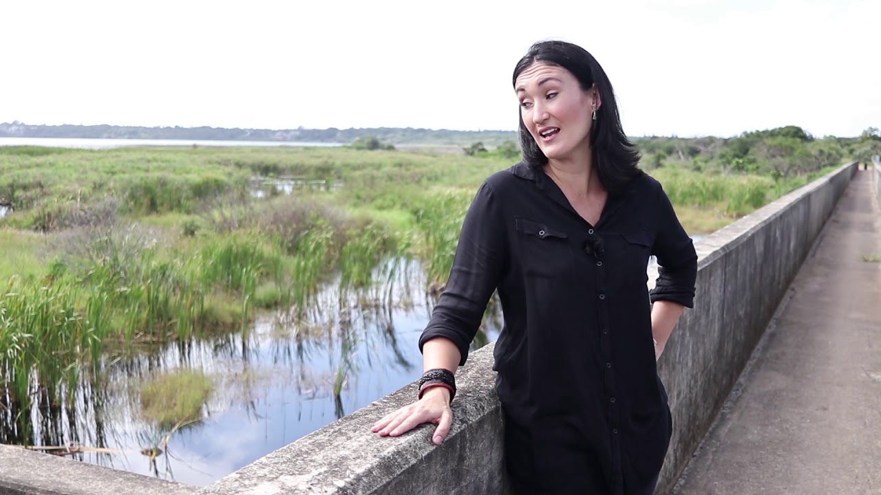 The uMhlathuze Water Stewardship Partnership: working for a water secure future in South Africa