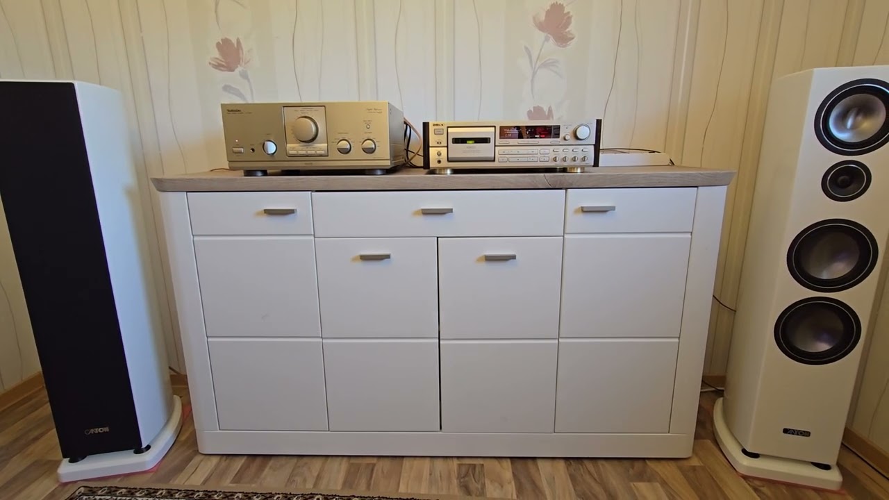 Technics SU-MA10 und Canton Vento 896.2