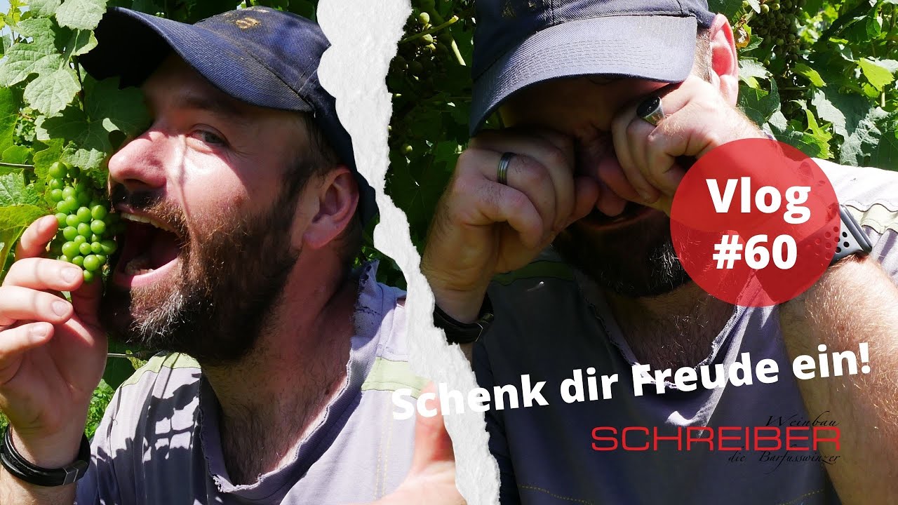 Wer nicht wagt, der nicht gewinnt - Komposttee Teil 3 I Schenk dir Freude ein! Vlog #60