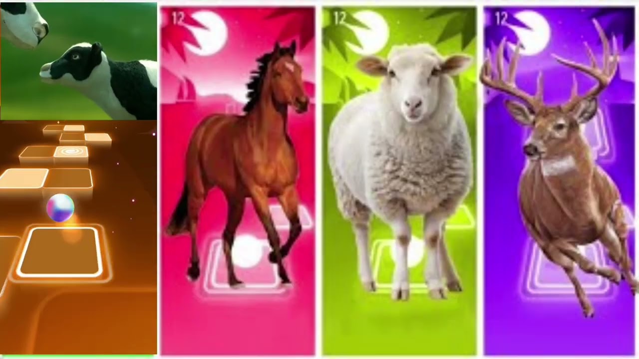 Funny Animals-Sheep🐑🆚Lion🦁🆚Cow🐃🆚Elephant🦣