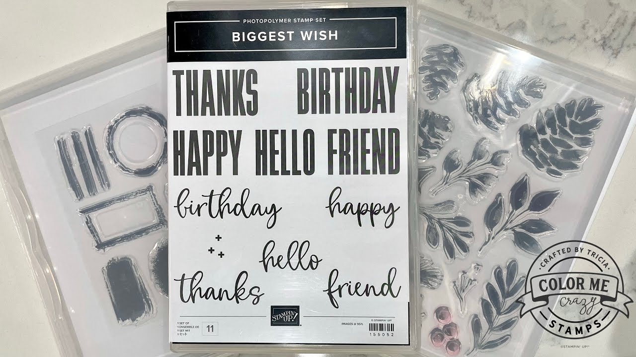 Stampin'up- (2of2) How to store NEW Photopolymer stamps & see through: A simple way to modify case!
