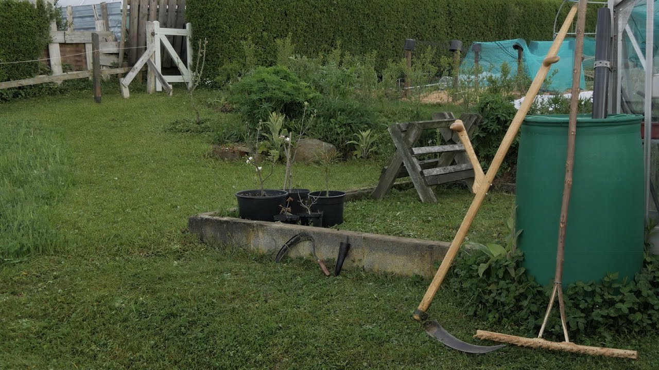 Mow no mow: trimming with Scottish scythe and grass hook.