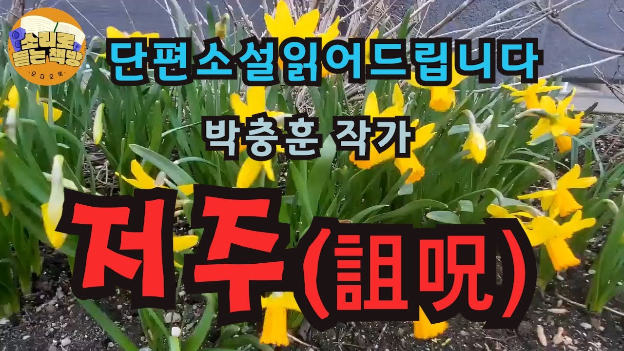 [단편소설오디오북] 저주 / 박충훈작가 / -경고- 여기에 폐기물 버리신 분 오늘 중으로 가져가시오. 가져가지 않으면 석 달 안으로 비명횡사 할 것이오. ..정말 그는 교통사고를.
