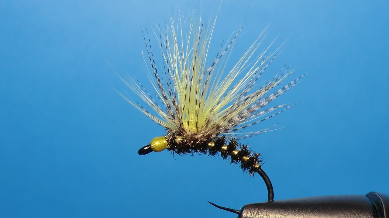 WILD DUCK PARALOOP by Giancarlo