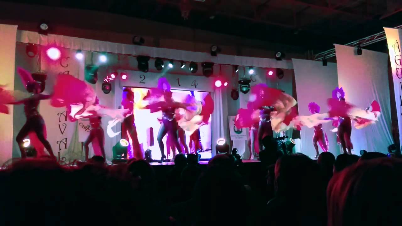 Ballet Oficial - Cambio de Poderes 2014. 1ª Actuación.