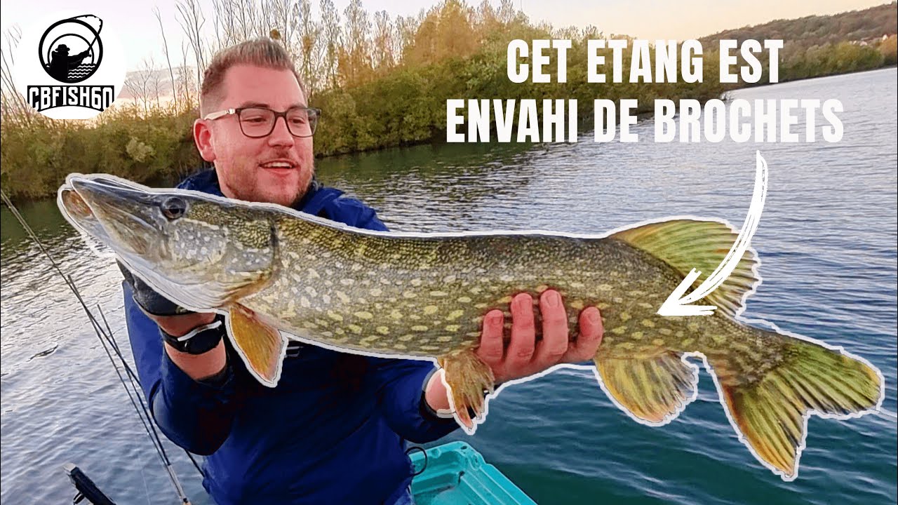 Un &eacute;tang envahi de Brochets ! P&ecirc;che du Gros Brochet ! #6