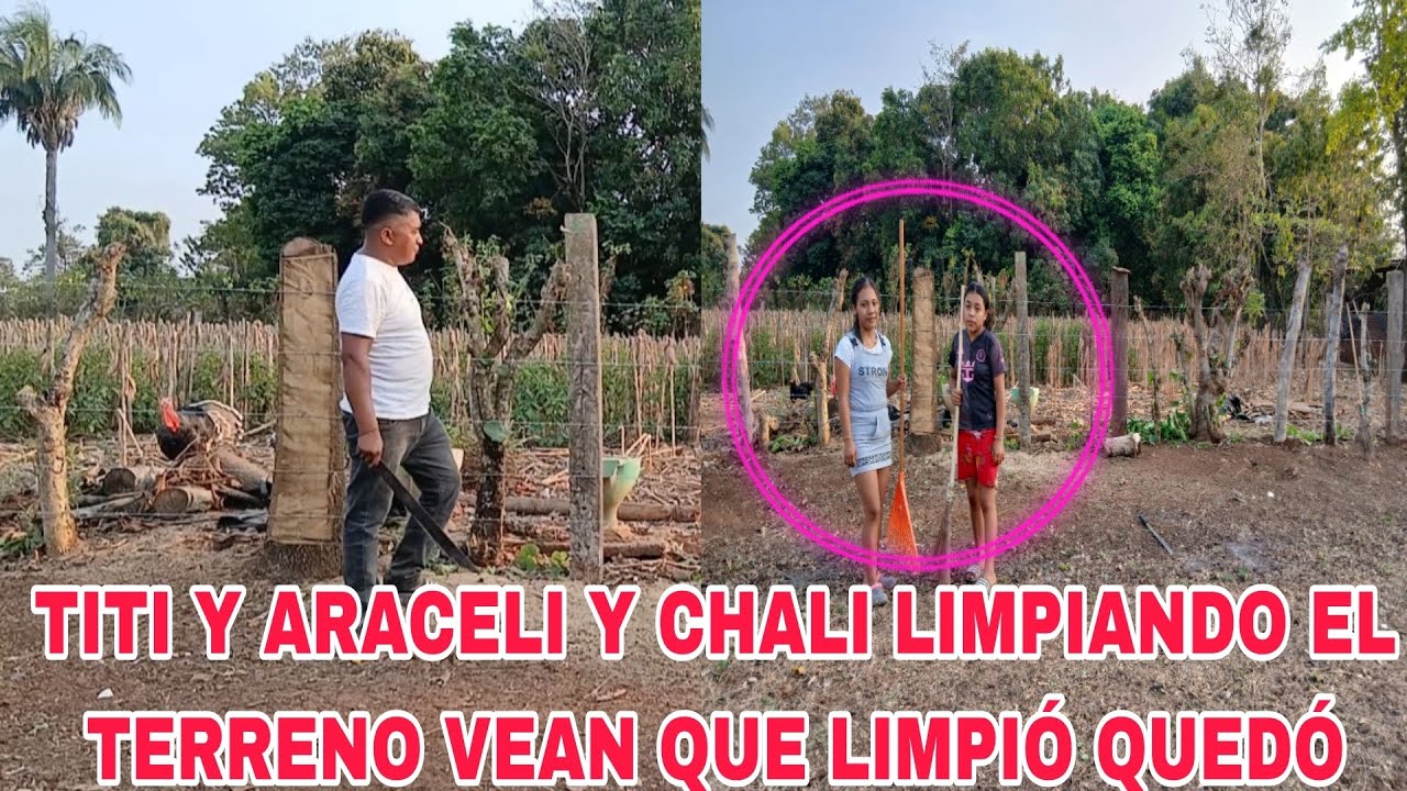 🚨🚨ARACELI MUY FELIZ POR SU TERRENO QUEDÓ BIEN LIMPIO Vean lo que paso 🤔