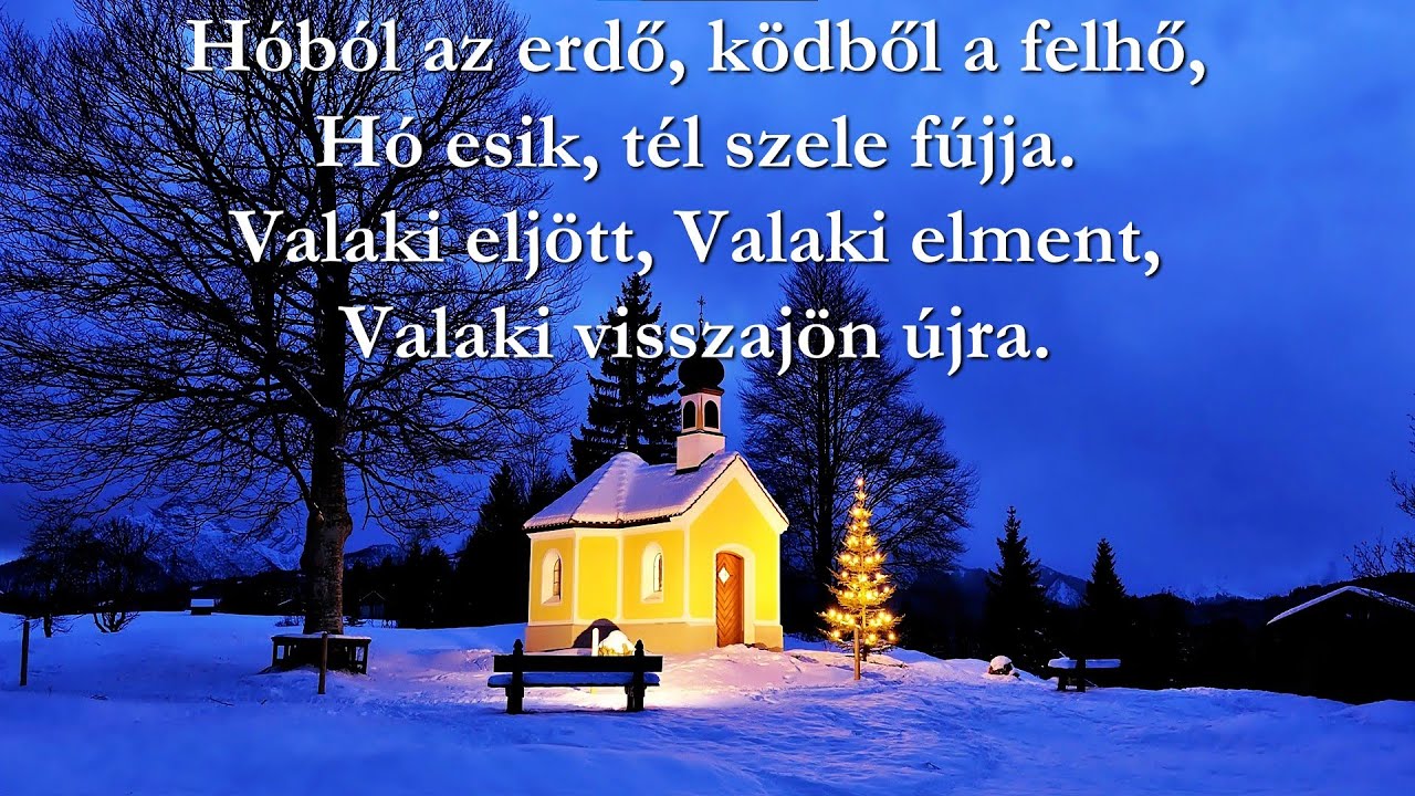 Hóból az erdő