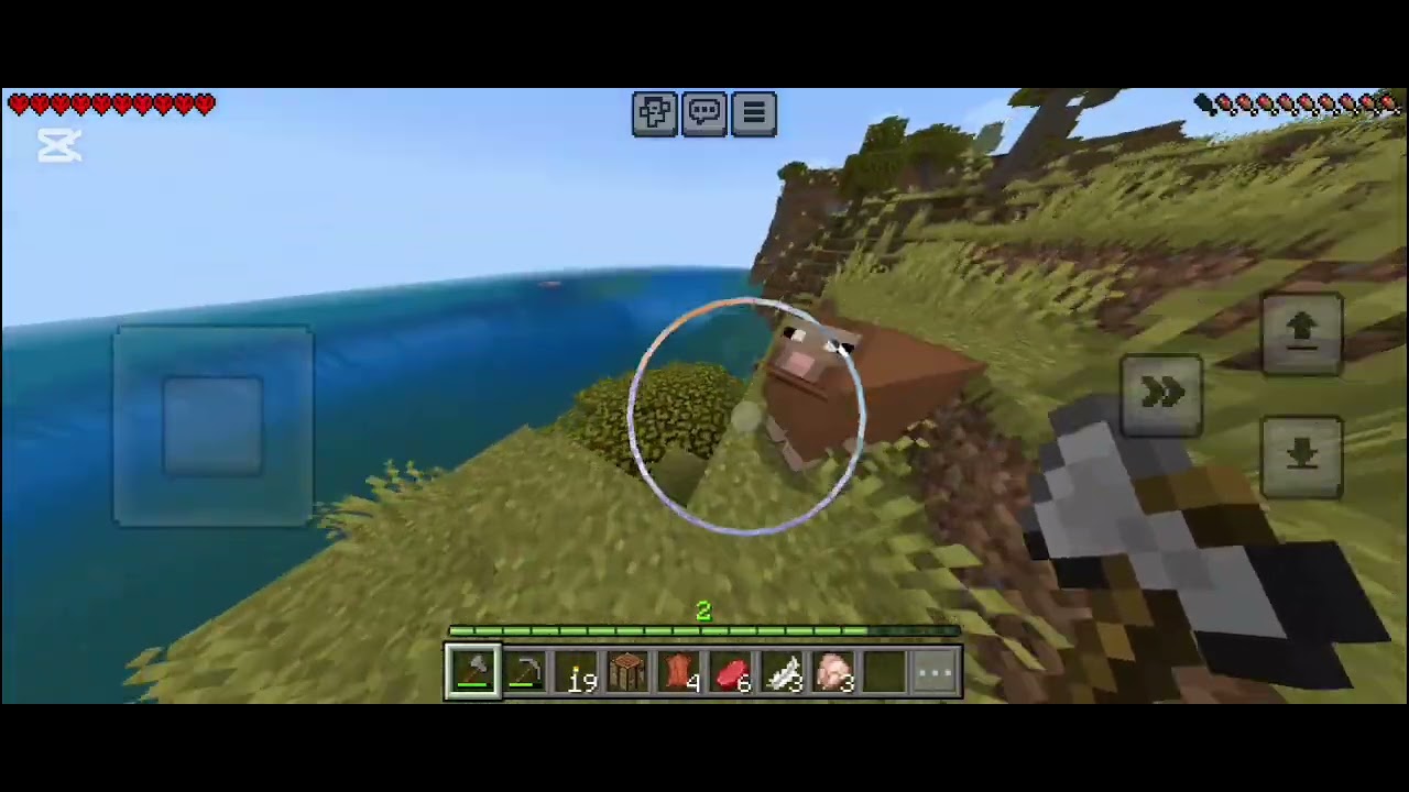 Minecraft 