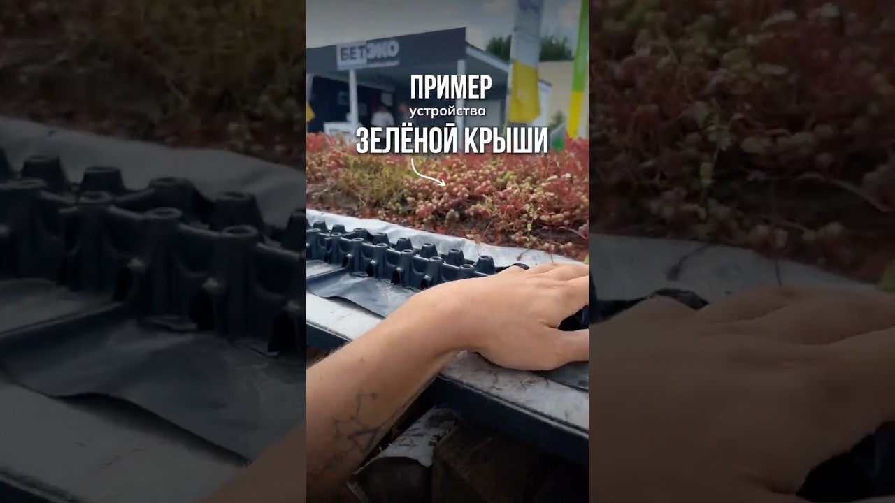 ЗЕЛЕНЫЕ КРЫШИ #ландшафтныйдизайн