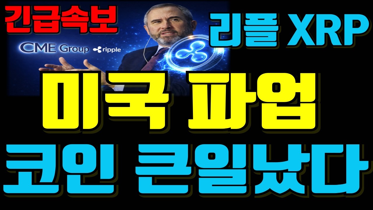 [XRP 리플] ※긴급속보※