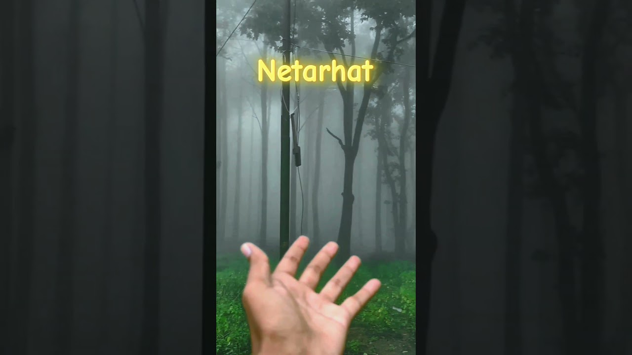 Shimla❌ Netarhat ✅ #beauty of #nature at #netarhat in #jharkhand #ytshorts #rainyseason #weather