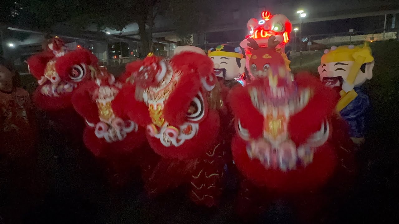 [4K] Tong Heng Dragon & Lion Dance Troupe Cai Qing Performance 同衡舞龙狮团彩晴演出 10.02.2026