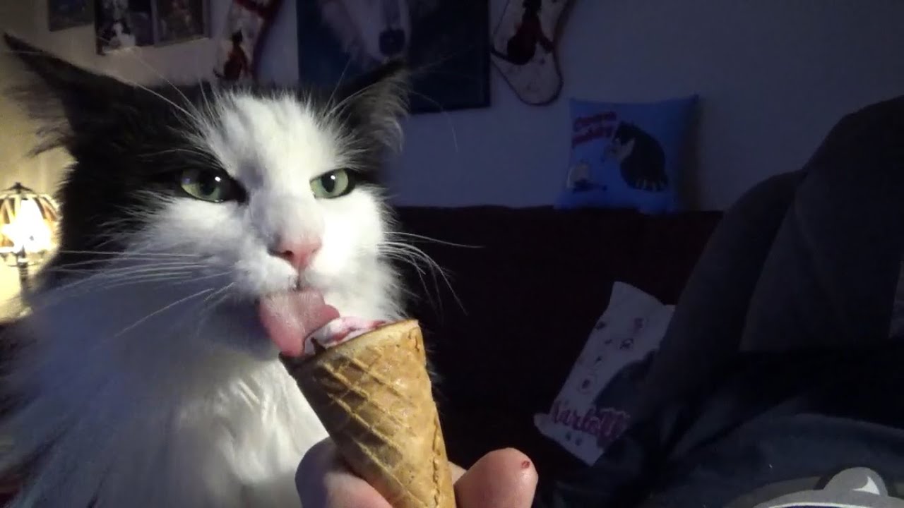 Connor and Ice Cream Cones what a bum