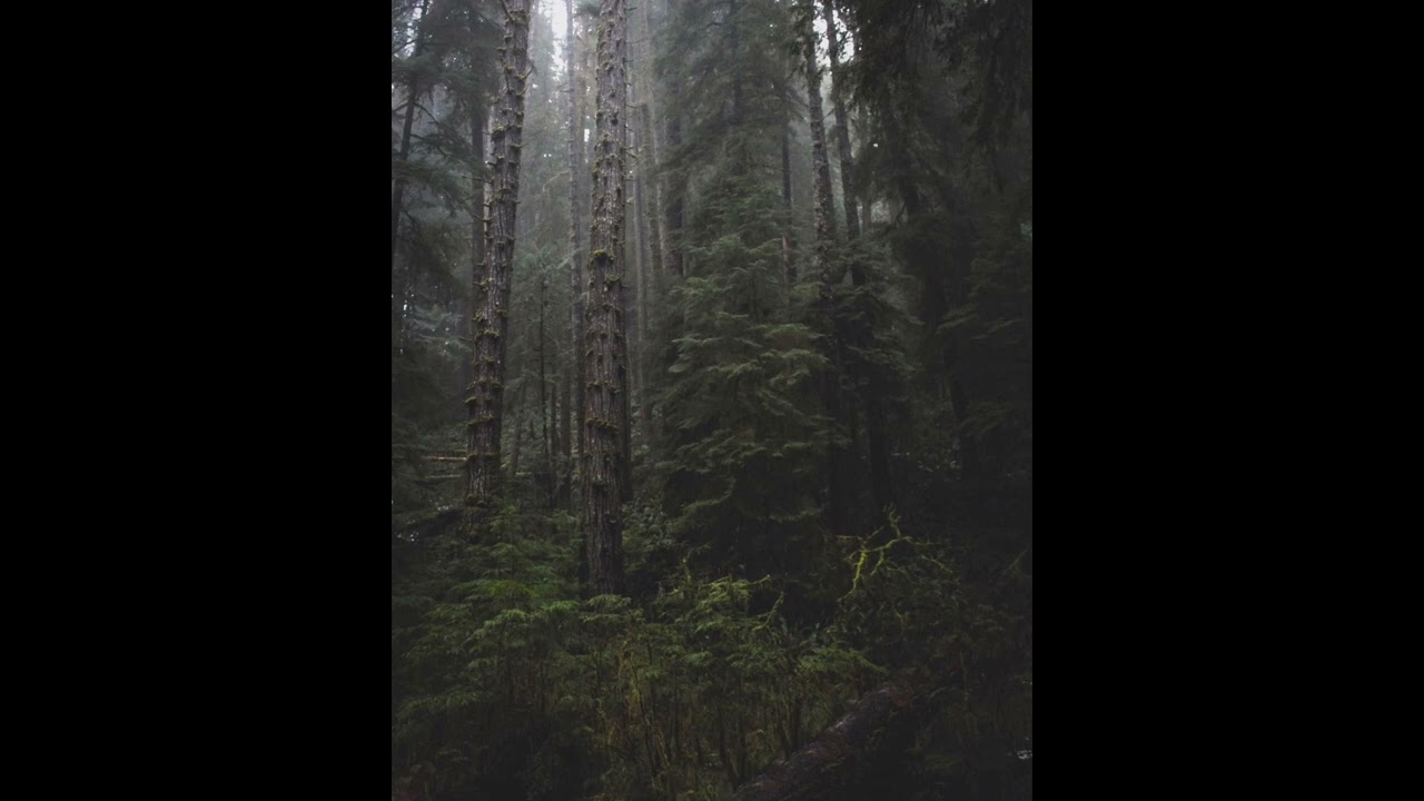Clams Casino Type Beat (prod. mike)