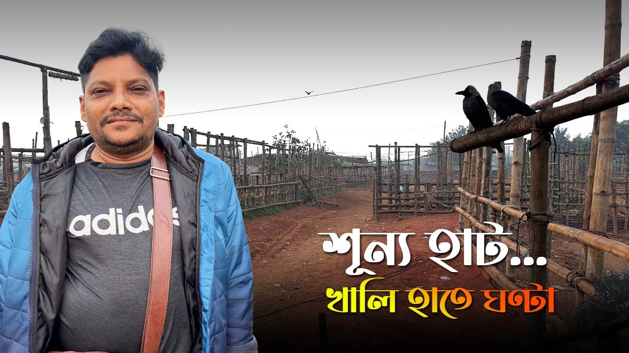 City Haat Goru Kena Vlog &ndash; Akram Vai আজ একটাও গরু নিলেন না! এই পর্বে 😲 Real Cow Price BD 2025
