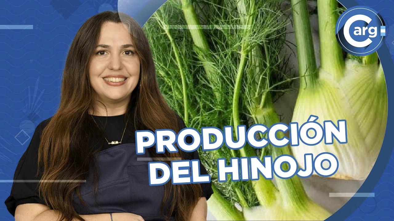 QUÉ ES EL HINOJO