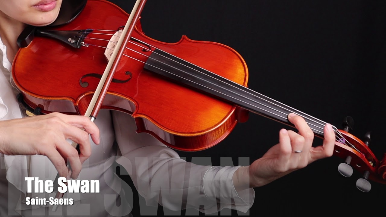 The Swan - Saint Saens , viola