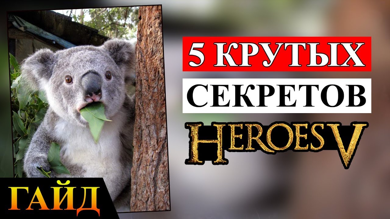 Герои 5 - СЕКРЕТЫ о которых ТЫ НЕ ЗНАЕШЬ (Гайд)