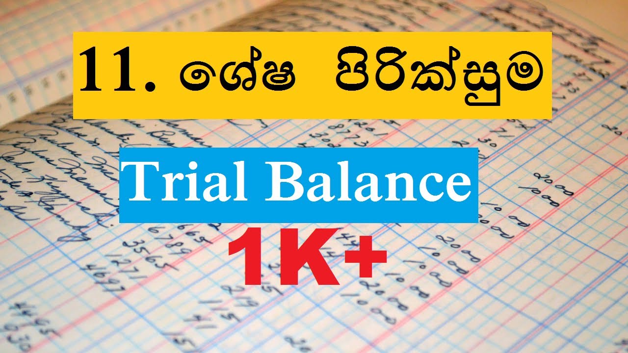 OL Commerce | Grade 10 | Lesson 11 - ශේෂ පිරික්සුම  (Trial Balance)