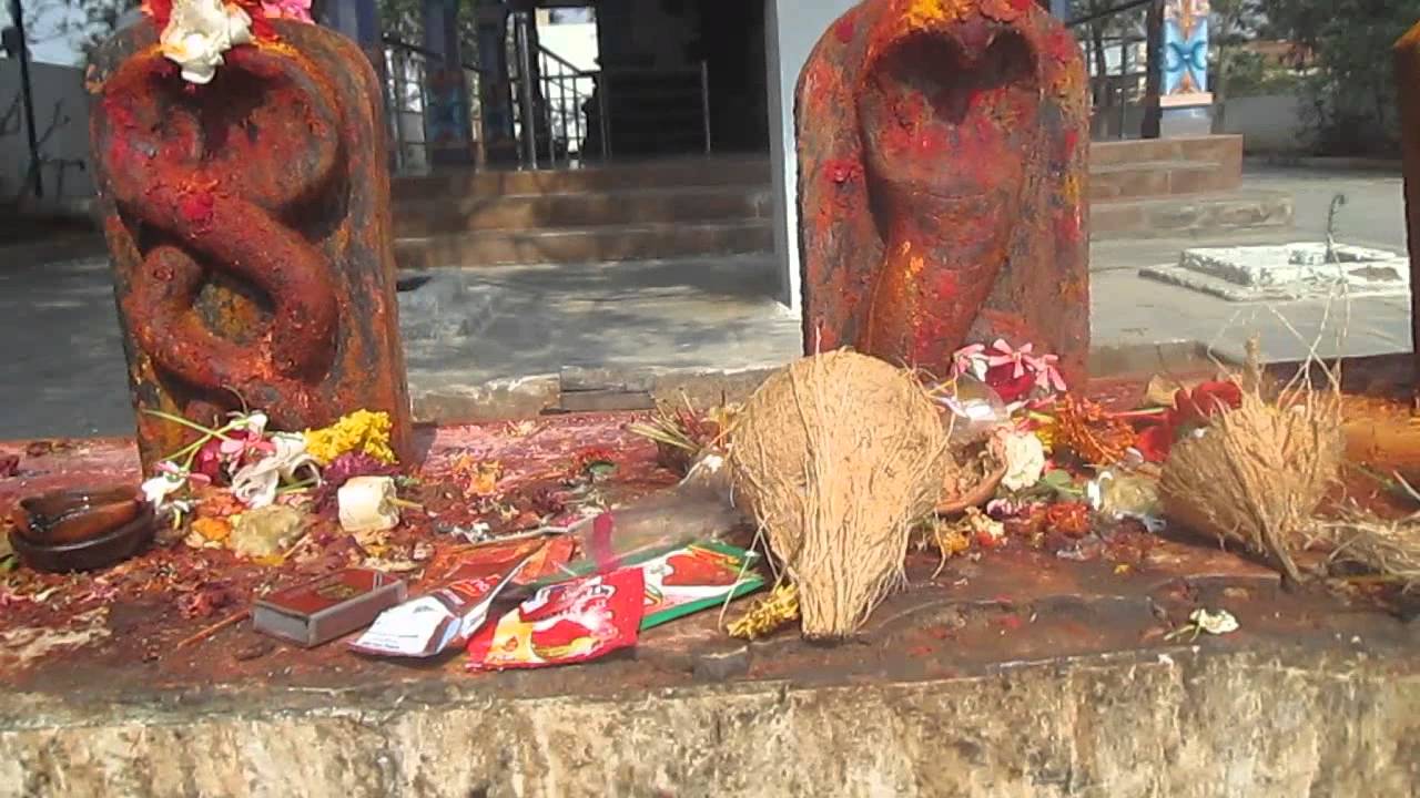 naga devata