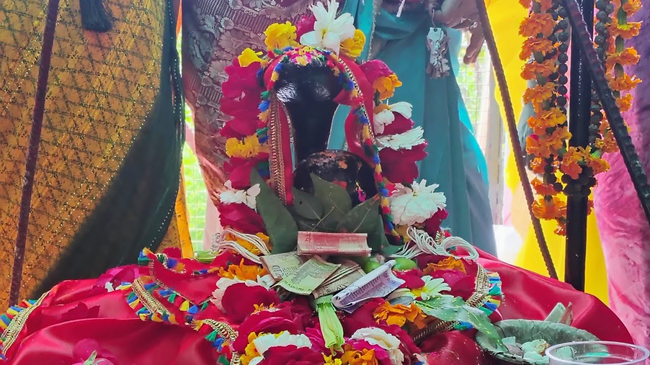 शिव की शक्ति, भक्तों की भक्ति: महाशिवरात्रि उत्सवShilpi#Mahashivratri2026 #MahaShivratri 
