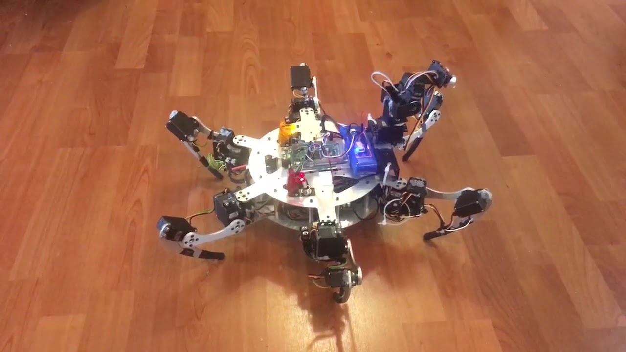 Hexapod robot with various gaits using inverse kinematics.