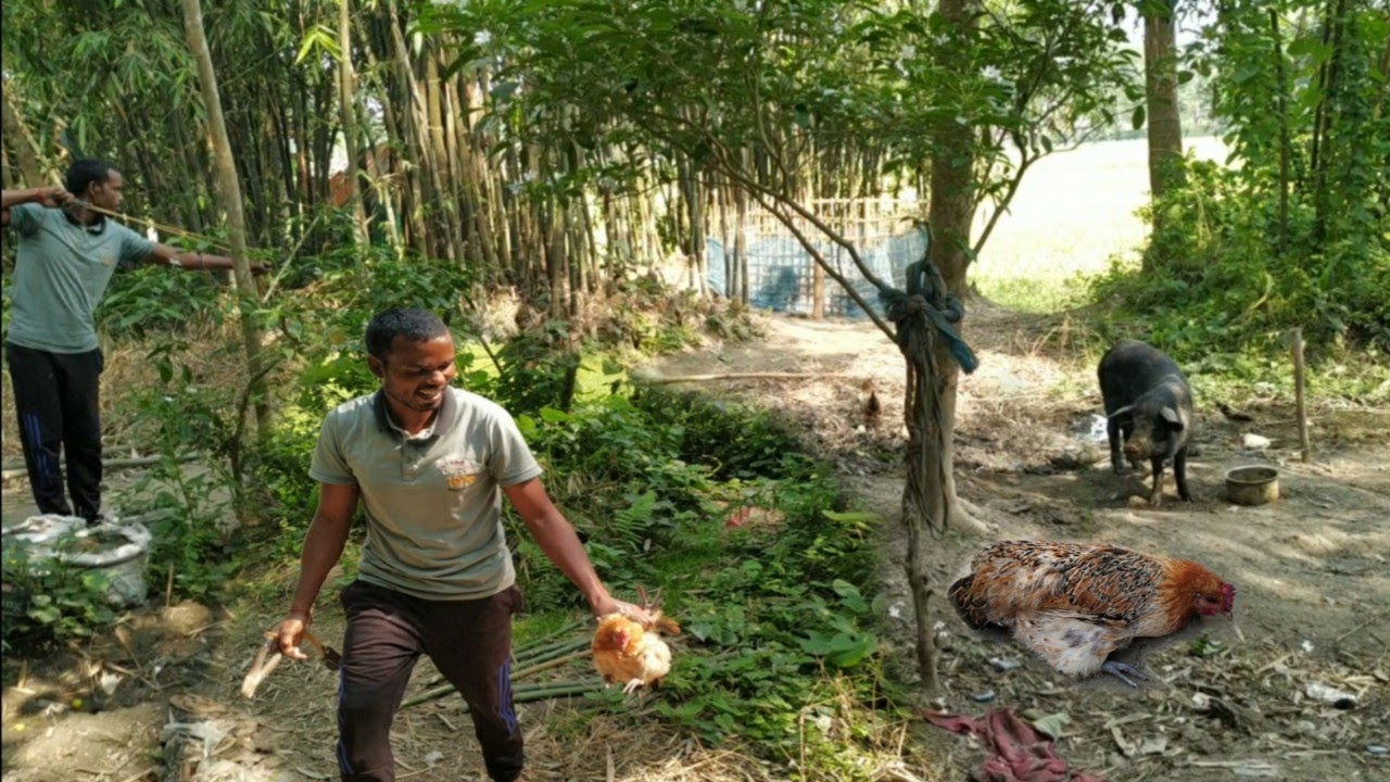 Deshi chicken curry recipe properly cleaning & cooking by santali boy