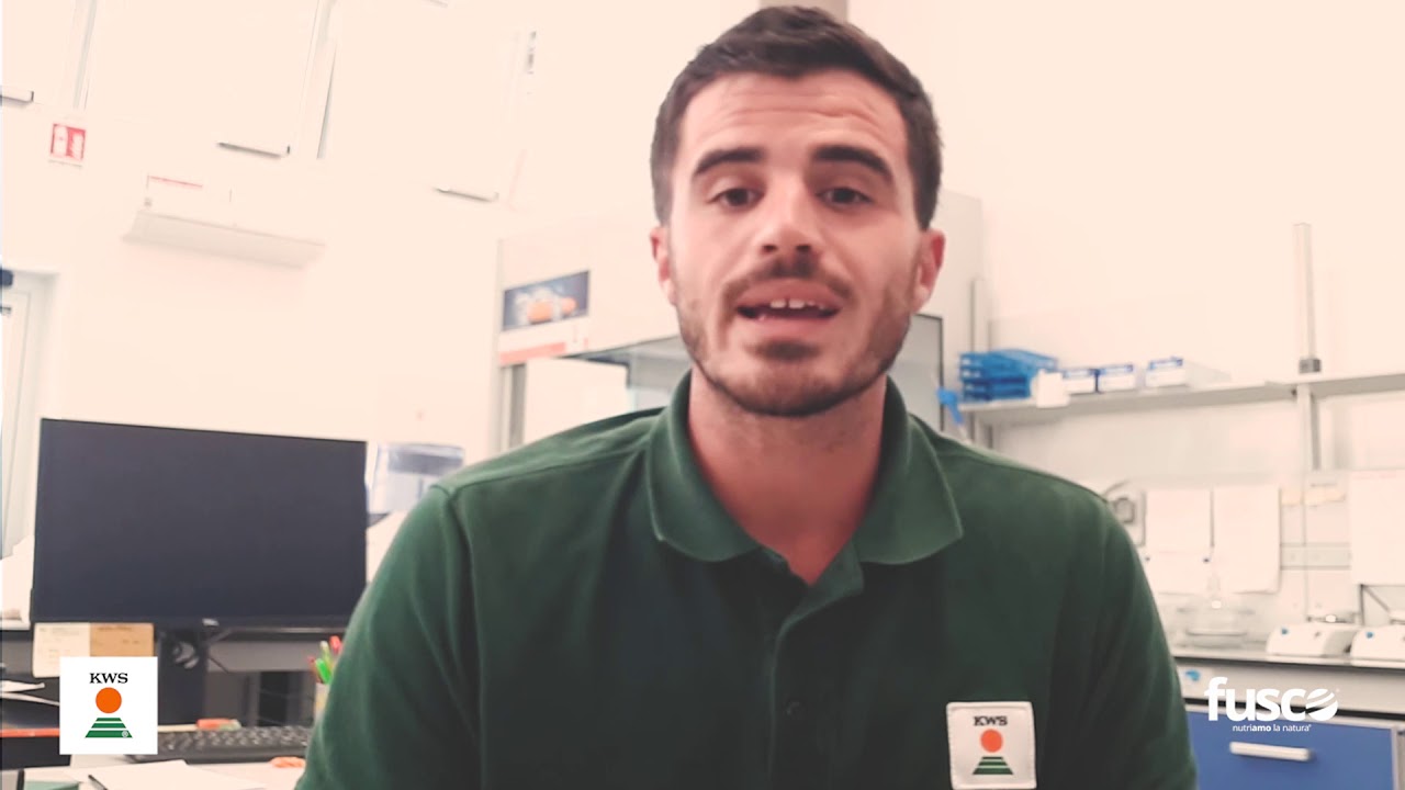L'importanza degli inoculanti con Massimo Sinigaglia di KWS | FUSCO MANGIMI
